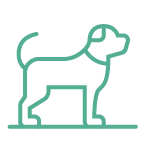 pet_care-dog_walk pet_care-dog_walk